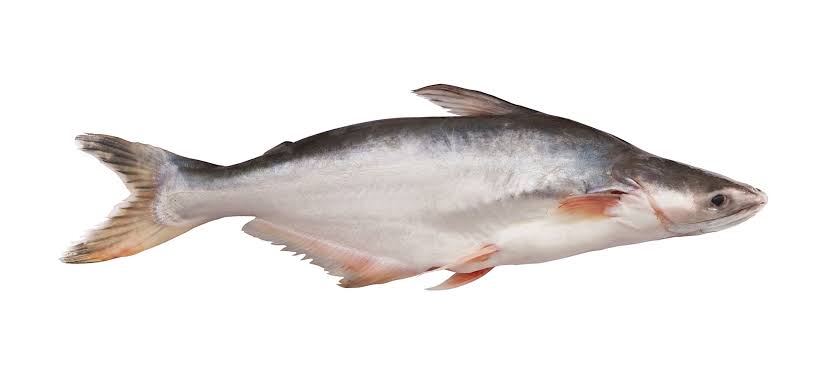 Pangasius/Nei Meen/ i-keluthi