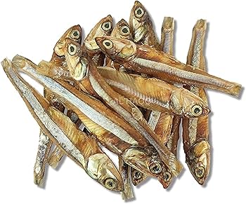 Nethili Karuvadu